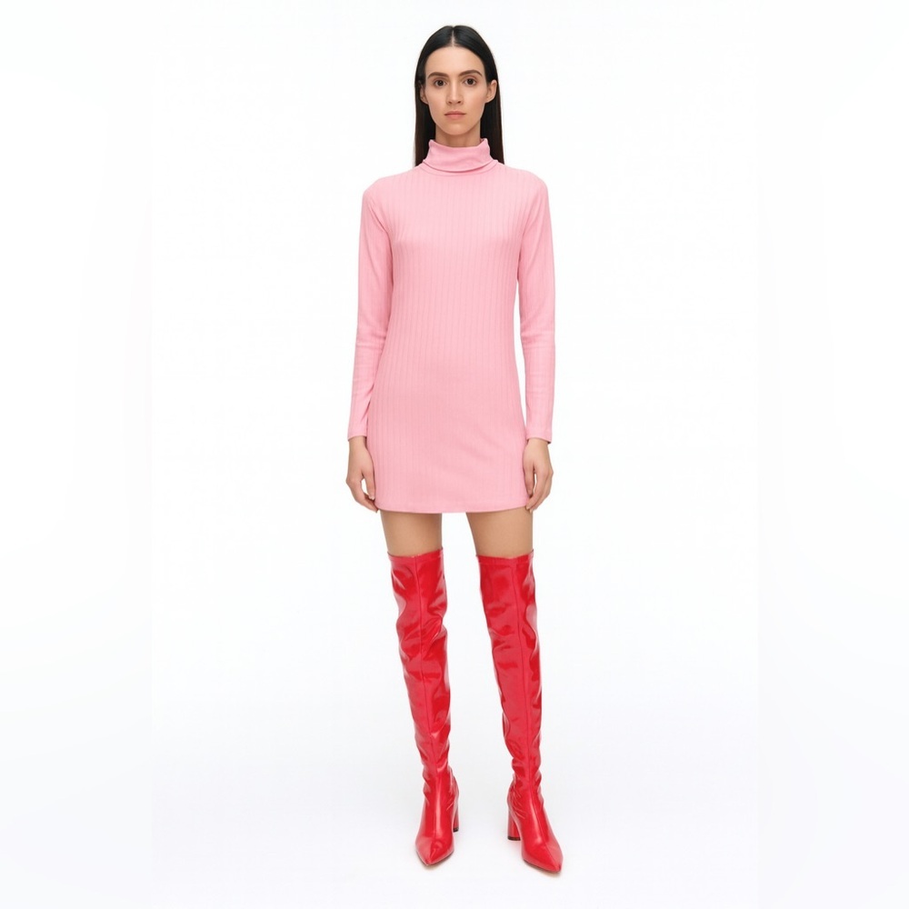 Nsr Long Sleeve Shinny Ribbed Turtleneck Dress In Dusty Pink Nwot